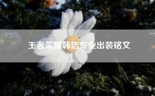 王者荣耀韩信专业出装铭文
