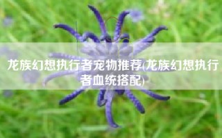 龙族幻想执行者宠物推荐(龙族幻想执行者血统搭配)