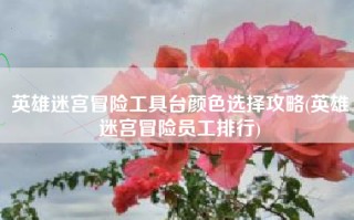 英雄迷宫冒险工具台颜色选择攻略(英雄迷宫冒险员工排行)