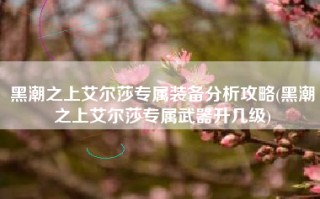 黑潮之上艾尔莎专属装备分析攻略(黑潮之上艾尔莎专属武器升几级)