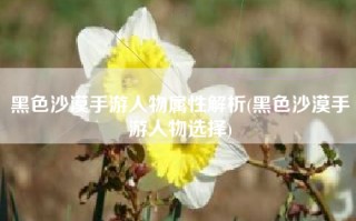 黑色沙漠手游人物属性解析(黑色沙漠手游人物选择)