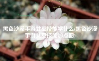 黑色沙漠手游女巫技能学什么(黑色沙漠手游女巫技能加点图)