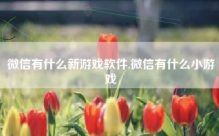 微信有什么新游戏软件,微信有什么小游戏