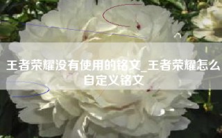 王者荣耀没有使用的铭文_王者荣耀怎么自定义铭文