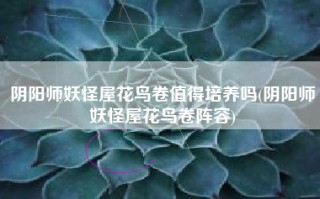 阴阳师妖怪屋花鸟卷值得培养吗(阴阳师妖怪屋花鸟卷阵容)