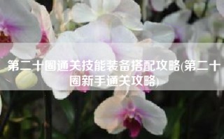 第二十圈通关技能装备搭配攻略(第二十圈新手通关攻略)