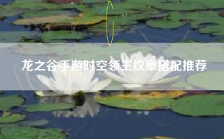 龙之谷手游时空领主纹章搭配推荐