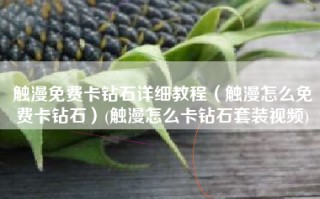 触漫免费卡钻石详细教程（触漫怎么免费卡钻石）(触漫怎么卡钻石套装视频)