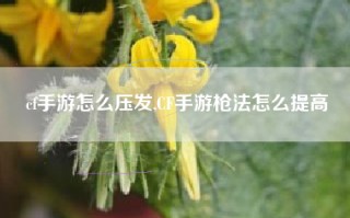 cf手游怎么压发,CF手游枪法怎么提高