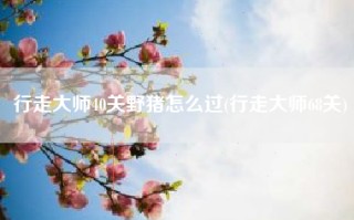 行走大师40关野猪怎么过(行走大师68关)