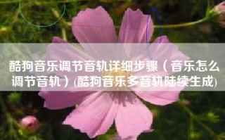 酷狗音乐调节音轨详细步骤（音乐怎么调节音轨）(酷狗音乐多音轨陆续生成)