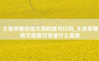 王者荣耀铠铭文用隐匿可以吗_王者荣耀铭文隐匿百穿是什么意思
