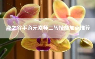 龙之谷手游元素师二转技能加点推荐