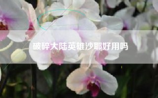 破碎大陆英雄沙耶好用吗