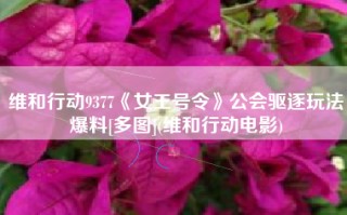 维和行动9377《女王号令》公会驱逐玩法爆料[多图](维和行动电影)