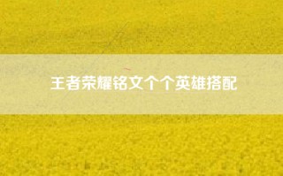 王者荣耀铭文个个英雄搭配