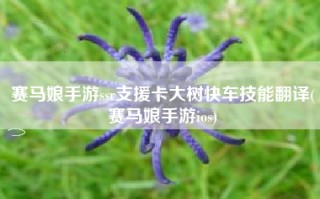 赛马娘手游ssr支援卡大树快车技能翻译(赛马娘手游ios)