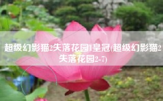 超级幻影猫2失落花园1皇冠(超级幻影猫2失落花园2-7)