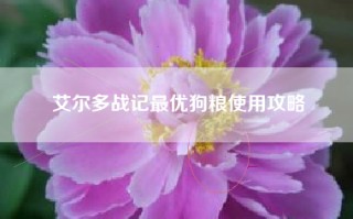 艾尔多战记最优狗粮使用攻略