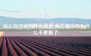 风云岛行动为什么闪退(风云岛行动为什么不更新了)