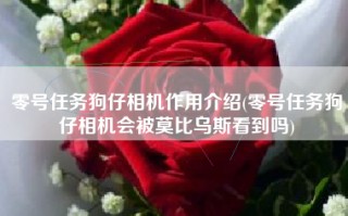 零号任务狗仔相机作用介绍(零号任务狗仔相机会被莫比乌斯看到吗)