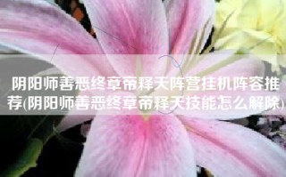 阴阳师善恶终章帝释天阵营挂机阵容推荐(阴阳师善恶终章帝释天技能怎么解除)