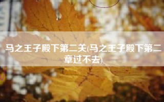 马之王子殿下第二关(马之王子殿下第二章过不去)
