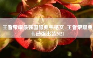 王者荣耀最强国服典韦铭文_王者荣耀典韦最强出装2021