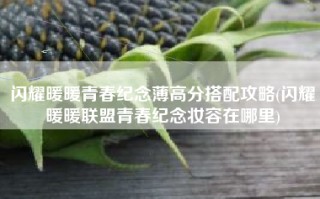闪耀暖暖青春纪念薄高分搭配攻略(闪耀暖暖联盟青春纪念妆容在哪里)