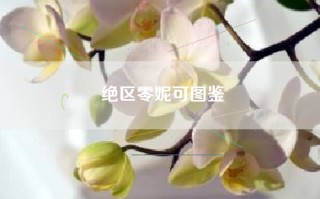 绝区零妮可图鉴