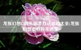 龙族幻想55极乐副本打法攻略大全(龙族幻想击败极乐酒鬼)