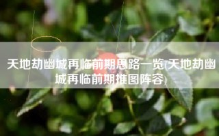 天地劫幽城再临前期思路一览(天地劫幽城再临前期推图阵容)