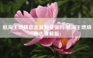 航海王燃烧意志莫利亚强吗(航海王燃烧意志破解版)