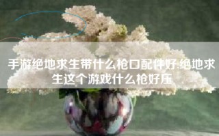 手游绝地求生带什么枪口配件好,绝地求生这个游戏什么枪好压