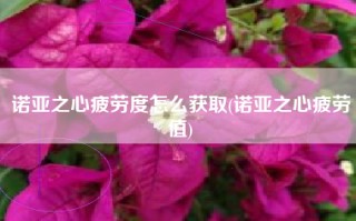 诺亚之心疲劳度怎么获取(诺亚之心疲劳值)