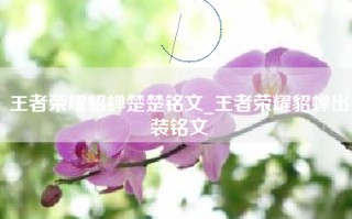 王者荣耀貂蝉楚楚铭文_王者荣耀貂蝉出装铭文