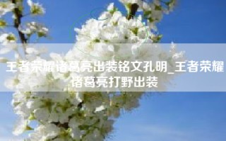 王者荣耀诸葛亮出装铭文孔明_王者荣耀诸葛亮打野出装