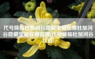 代号降临杜加河谷隐藏宝箱在哪杜加河谷隐藏宝箱在哪在哪(代号降临杜加河谷攻略)