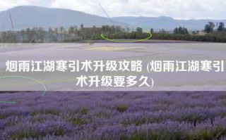 烟雨江湖寒引术升级攻略 (烟雨江湖寒引术升级要多久)