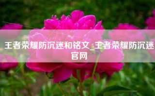 王者荣耀防沉迷和铭文_王者荣耀防沉迷官网
