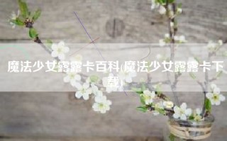 魔法少女露露卡百科(魔法少女露露卡下载)