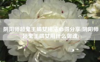 阴阳师超鬼王蝎女用法心得分享(阴阳师超鬼王蝎女用什么御魂)