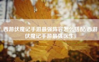西游伏魔记手游最强阵容怎么搭配(西游伏魔记手游最强医生)