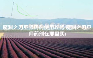 魔渊之刃巫师药剂使用攻略(魔渊之刃巫师药剂在那里买)