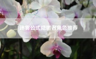 迷雾公式隐匿者角色推荐