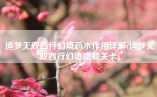 造梦无双西行幻境药水作用详解(造梦无双西行幻境隐藏关卡)