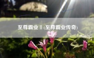 至尊霸业Ⅱ(至尊霸业传奇)