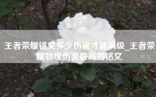 王者荣耀铭文多少伤害才算满级_王者荣耀物理伤害最高的铭文