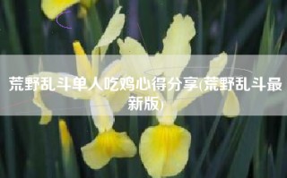 荒野乱斗单人吃鸡心得分享(荒野乱斗最新版)