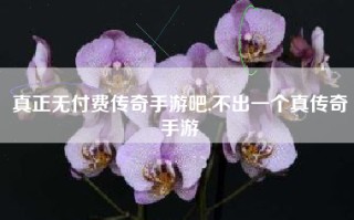 真正无付费传奇手游吧,不出一个真传奇手游